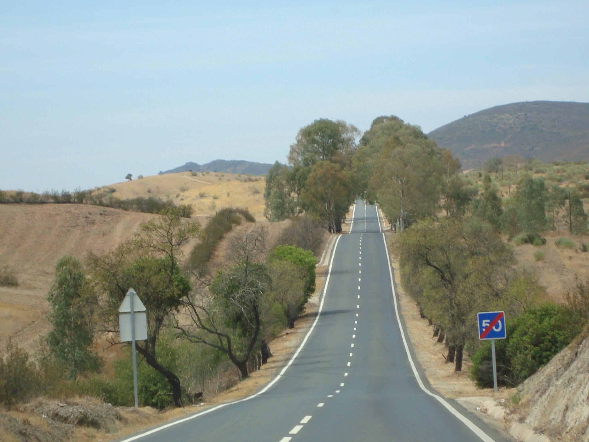 A road in alentejo seen in Public domain image from Wikipedia